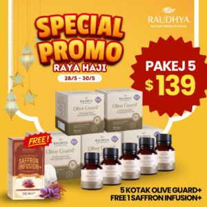 PAKEJ PROMOSI RAYA HAJI